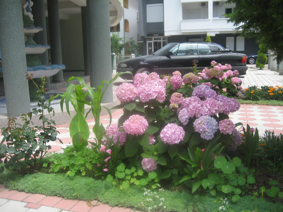 Guest House Vila Mimoza Ulcinj Bagian luar foto