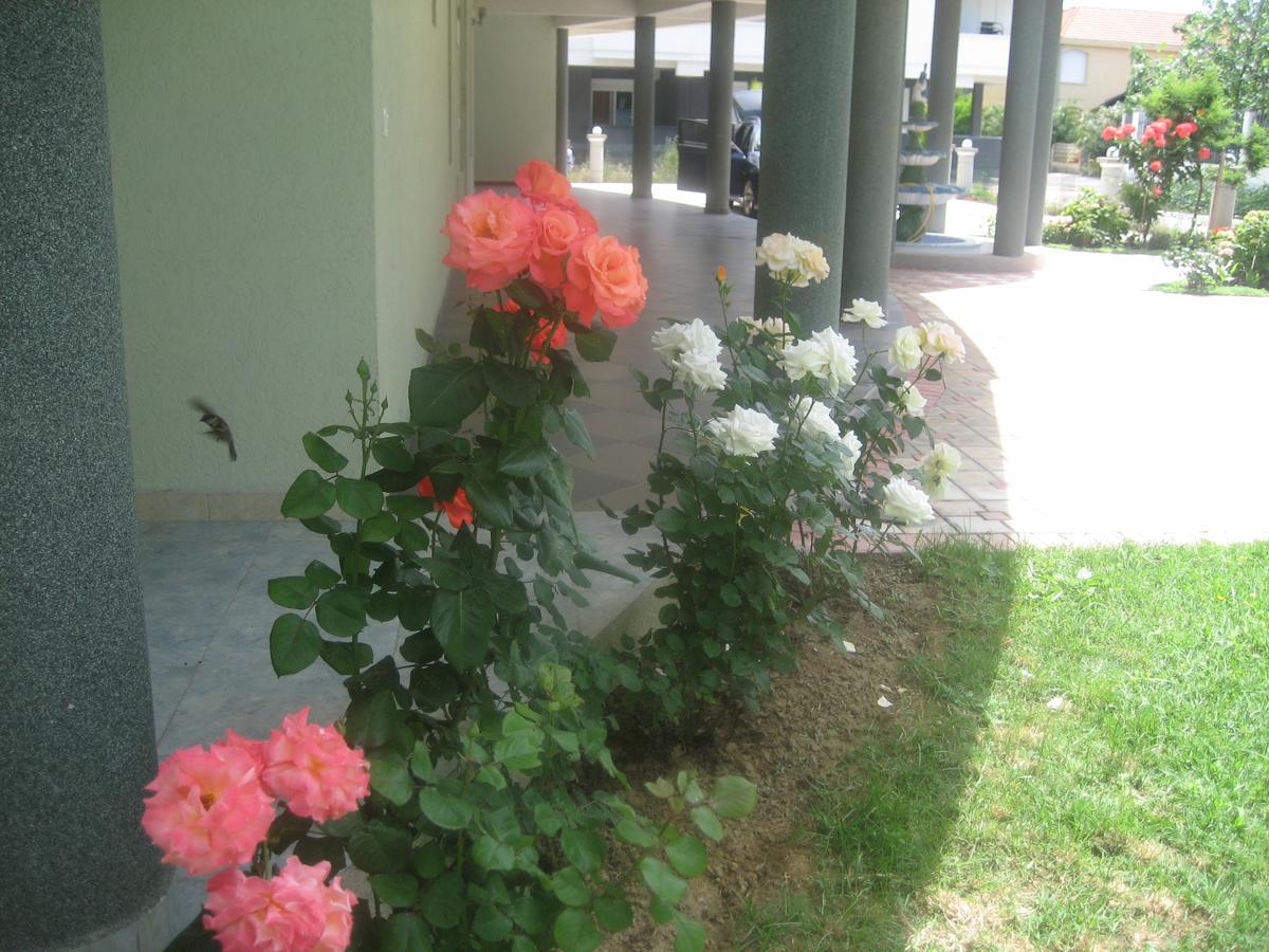 Guest House Vila Mimoza Ulcinj Bagian luar foto