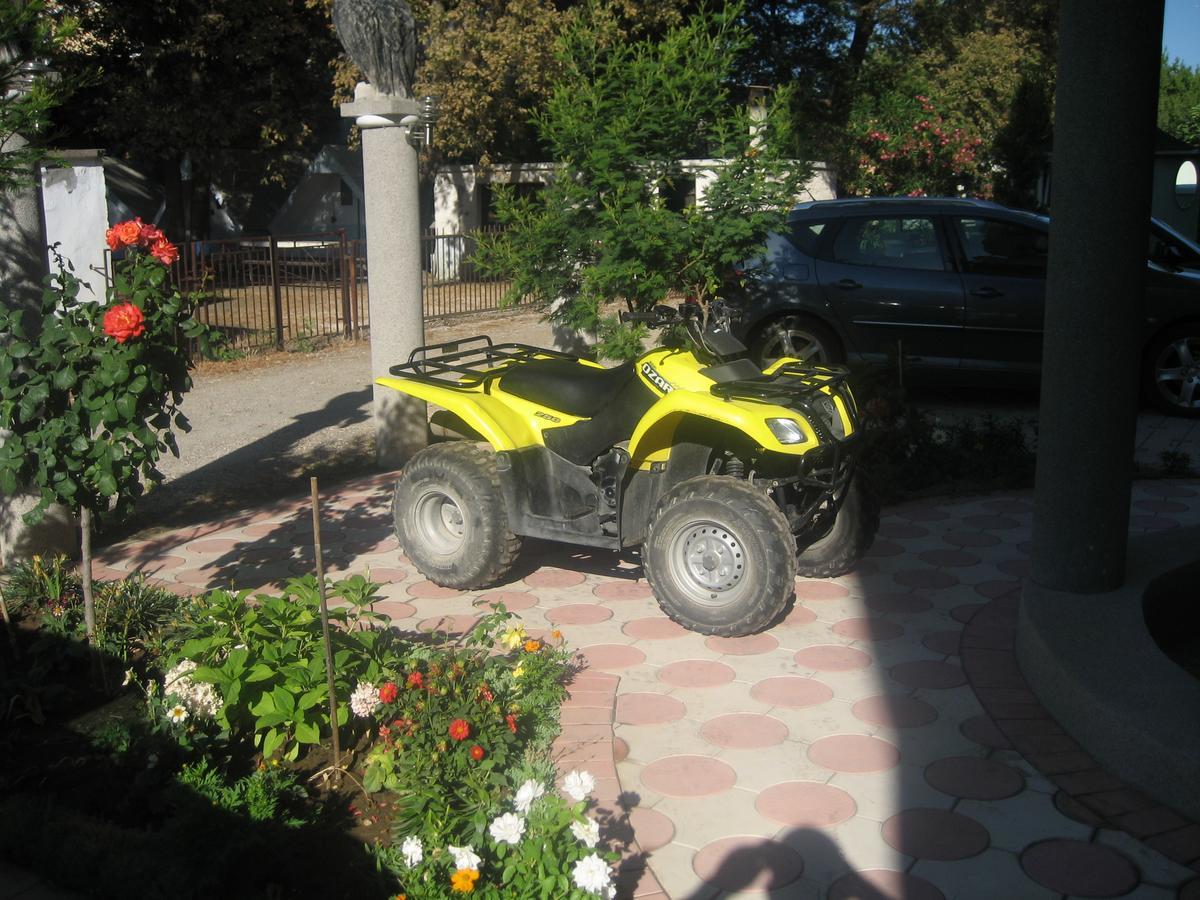 Guest House Vila Mimoza Ulcinj Bagian luar foto